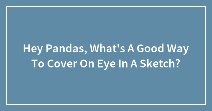Hey Pandas, What’s A Good Way To Cover On Eye In A Sketch?
