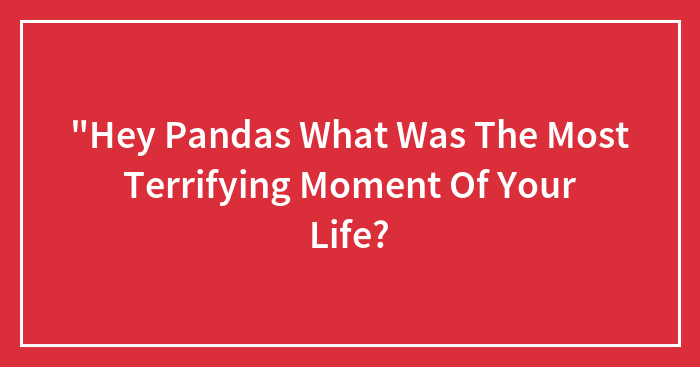 “Hey Pandas What Was The Most Terrifying Moment Of Your Life?
