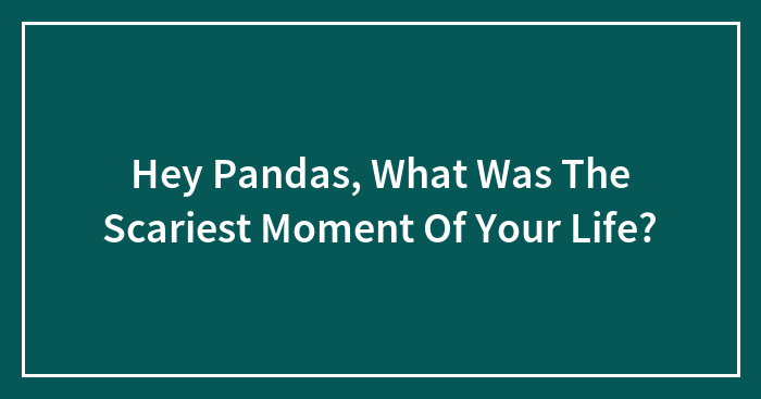 Hey Pandas, What Was The Scariest Moment Of Your Life?