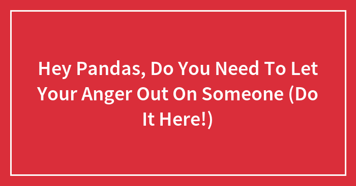 Hey Pandas, Do You Need To Let Your Anger Out On Someone (Do It Here!)