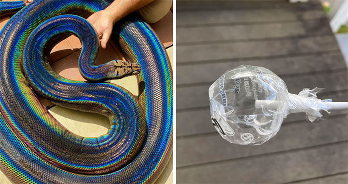 50 Curious Pictures Of Things People Don’t Get To See Often (New Pics)