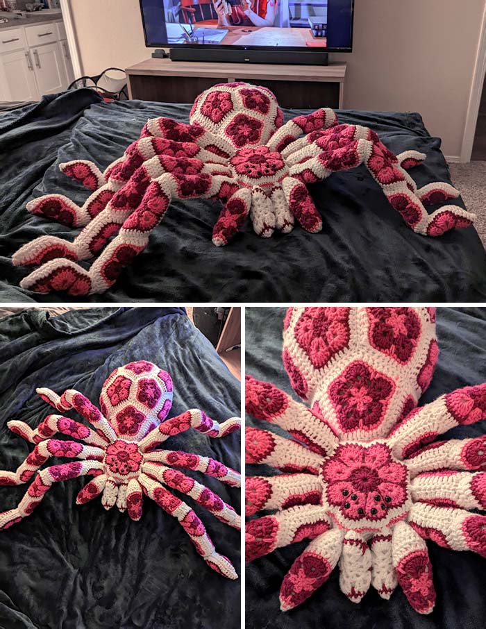 Pink African Flower Tarantula