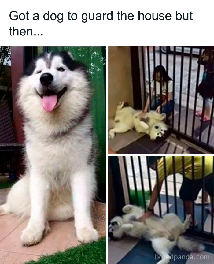 Who Wants A Belly Rub?