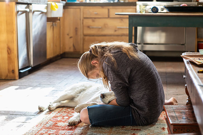 “AITA For Euthanizing My Daughter’s Emotional Support Animal For Her Own Sake?” “AITA For Euthanizing My Daughter’s Emotional Support Animal For Her Own Sake?”