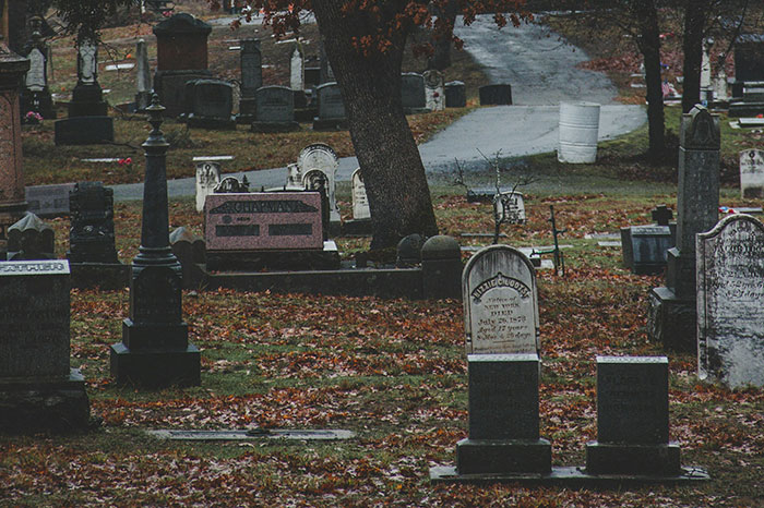 “Someone Saw Him Dancing With The Corpse”: 50 Of The Most Unsettling Facts People Ever Heard