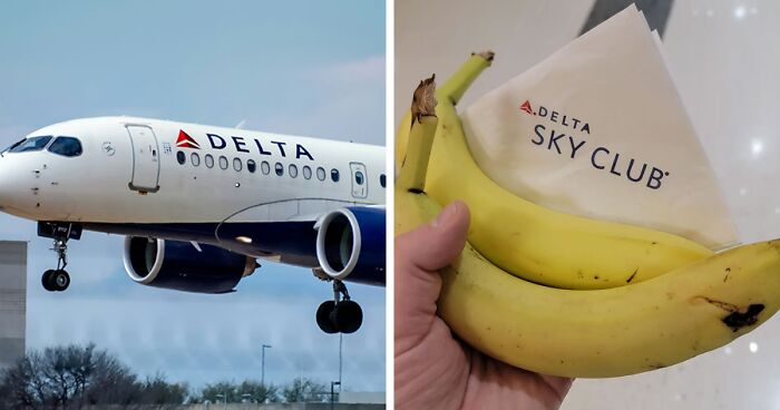 After Delta Agent Scolds Passenger For Taking A Banana, Others Launch Hilarious Mass Protest