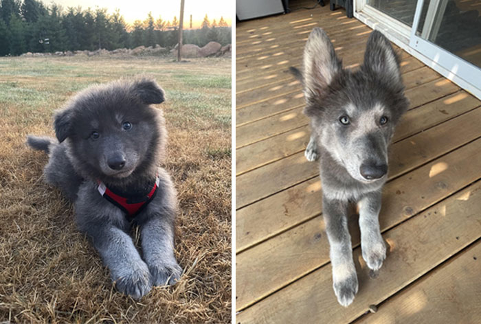 Little Dude Is Growing Up So Fast