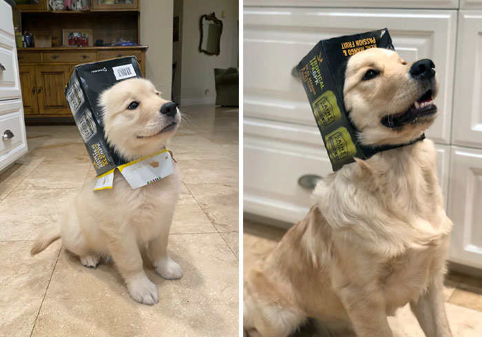 Abby's Before And After. She Is Still A Good Girl