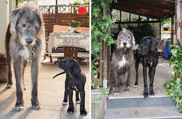 He Watched Over Her The Whole Time