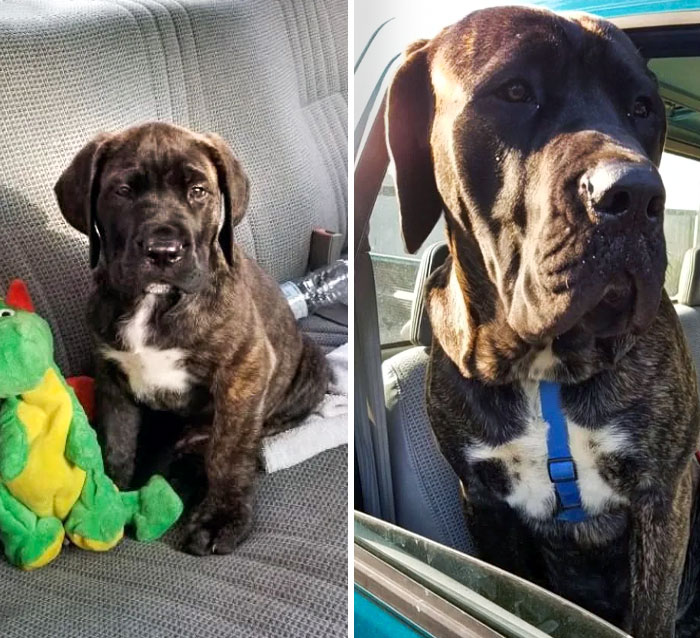 2 Months vs. 10 Months