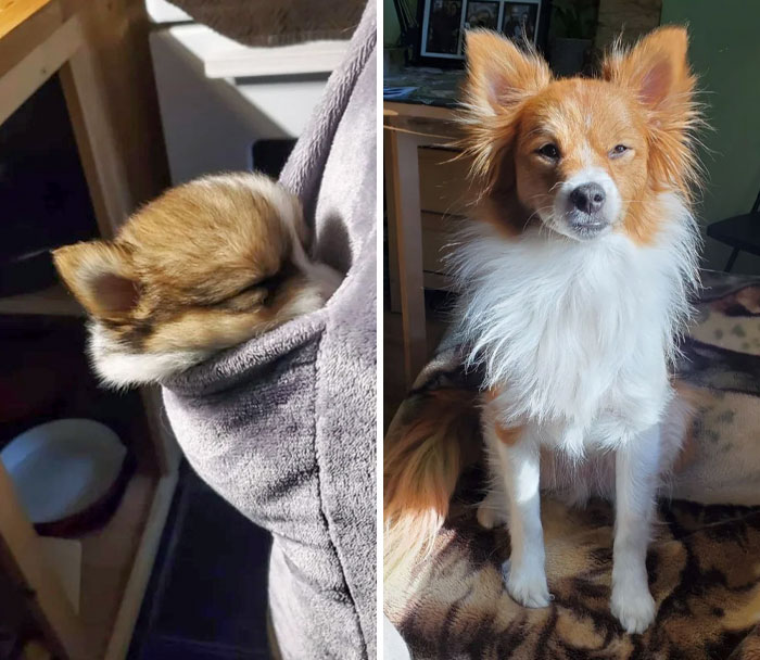 They Grow Up So Fast. 1 Lb 11 Oz vs. 19 Lbs