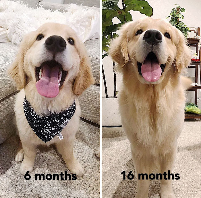 Still The Same Smile