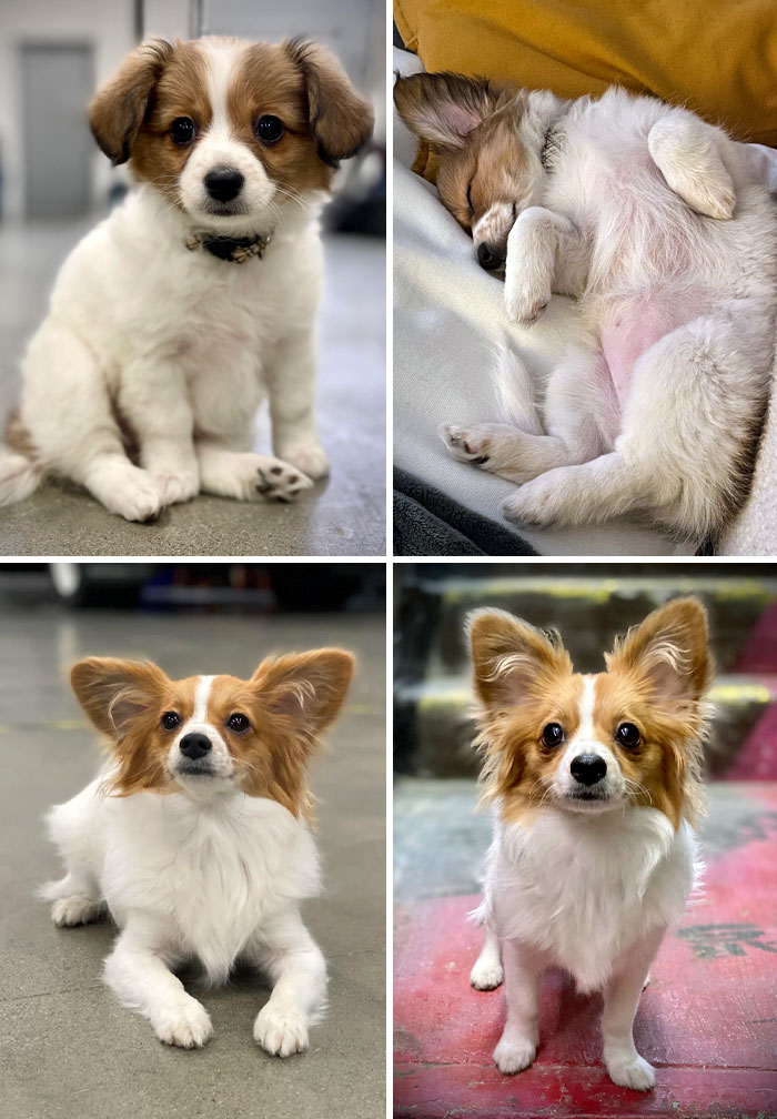 Abby Just Turned 1 So Here's Her Transition Over The Year