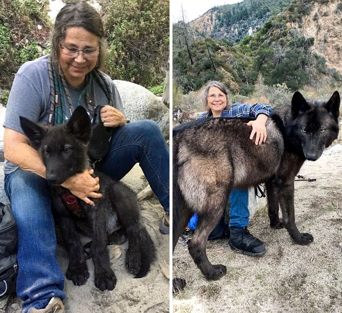 From 2.5 Months To Nearly 2 Years