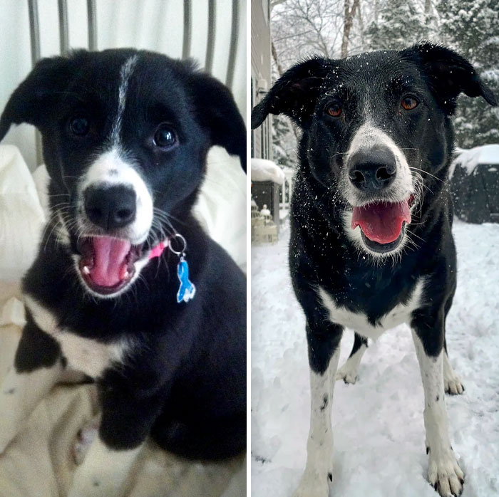 8 Weeks To 8 Years. My Very Best Girl