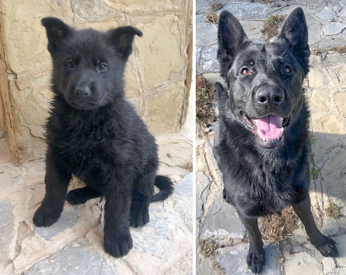 Well, He Grew Up Fast. Photos Taken One Year Apart