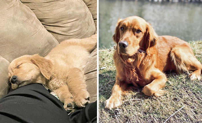 All Grown Up Now, But I Think I'm Still Cute