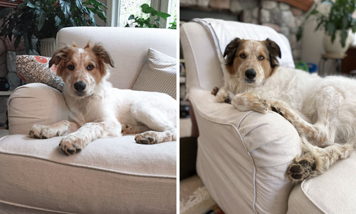 Fenton Insists That He Still Fits In The Chair