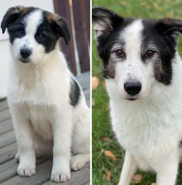 Officially In The Double Digits. Happy Birthday, My Big Boy