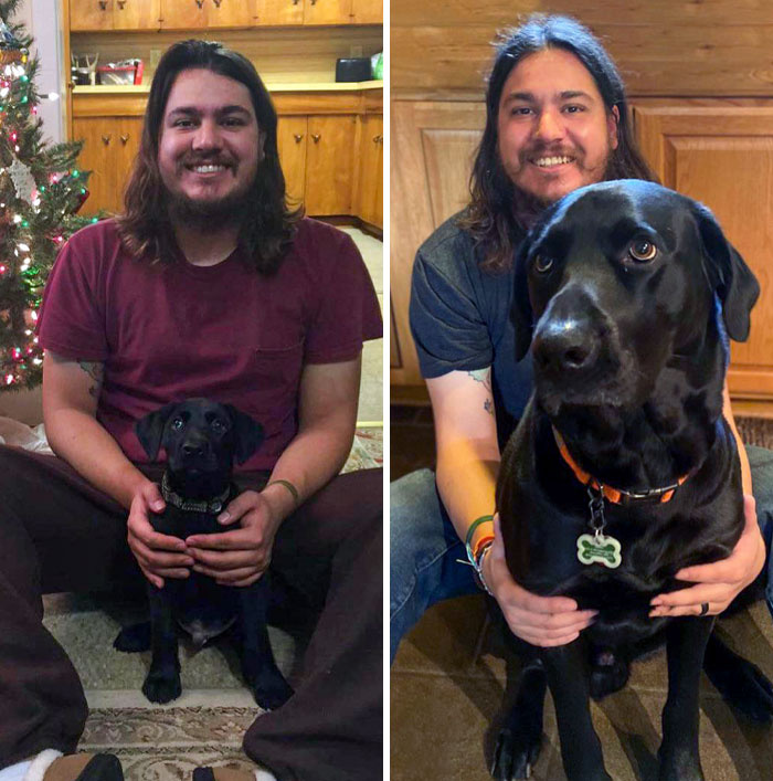 Then vs. Now. This Is Cain, My Best Friend. I Saved This Fella From A Bad Situation, And Now He Makes My House A Home