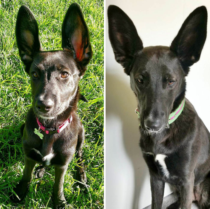 She Didn't Grow Into Them