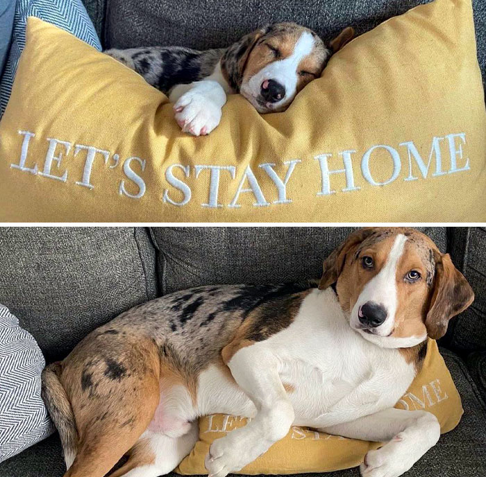 Small Boy vs. Big Boy