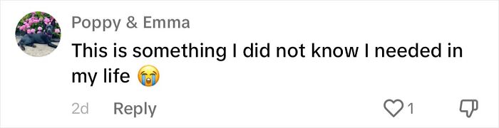 Dog Daycare Steals The Show, Recreating Hilarious Movie Posters Of Oscar-Nominated Films (10 Posters)