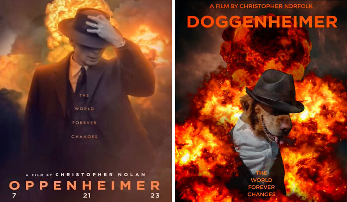 Dog Daycare Steals The Show, Recreating Hilarious Movie Posters Of Oscar-Nominated Films (10 Posters)