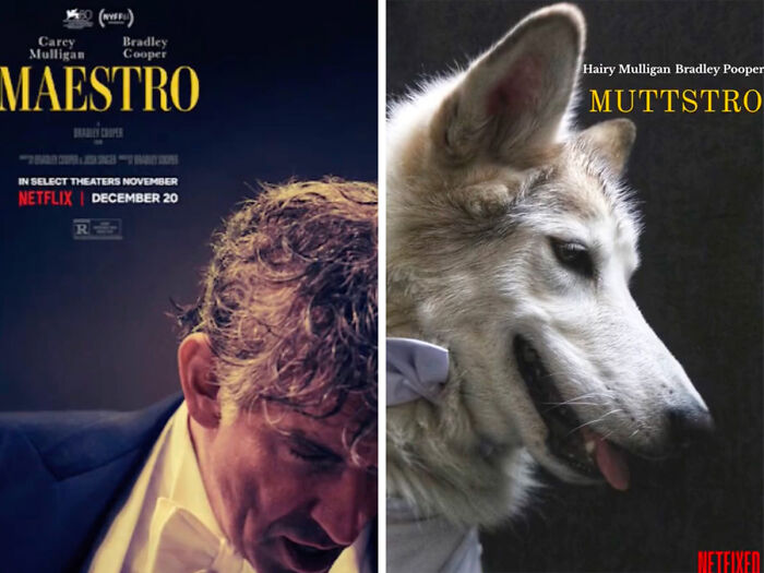 Dog Daycare Steals The Show, Recreating Hilarious Movie Posters Of Oscar-Nominated Films (10 Posters)