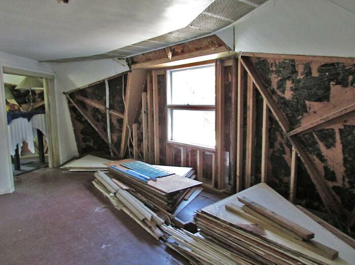 The Bucky Dome Reborn