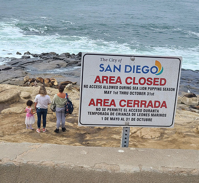 What Rules. I'm Special