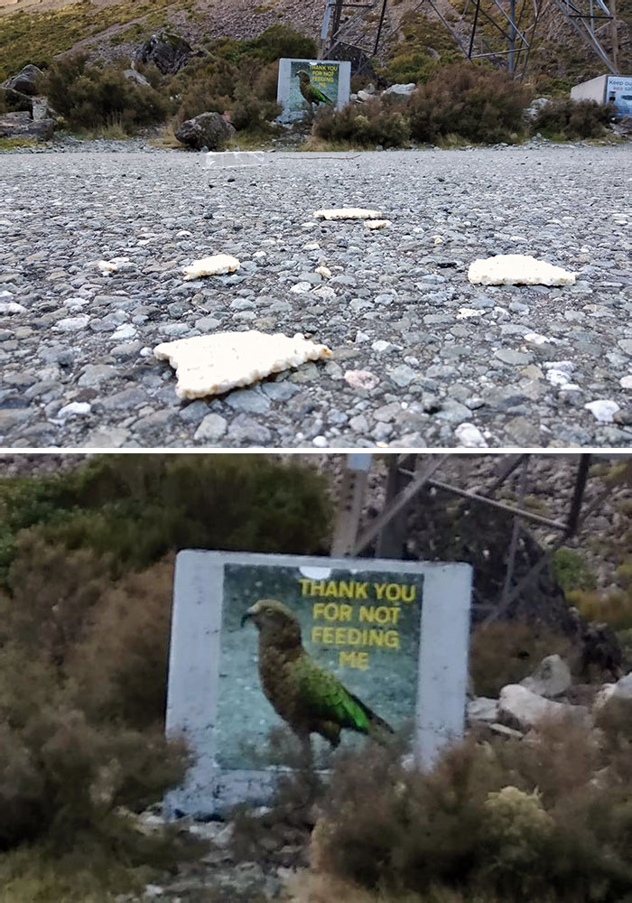 When Tourists Fail To Comply With The Most Basic Guidelines