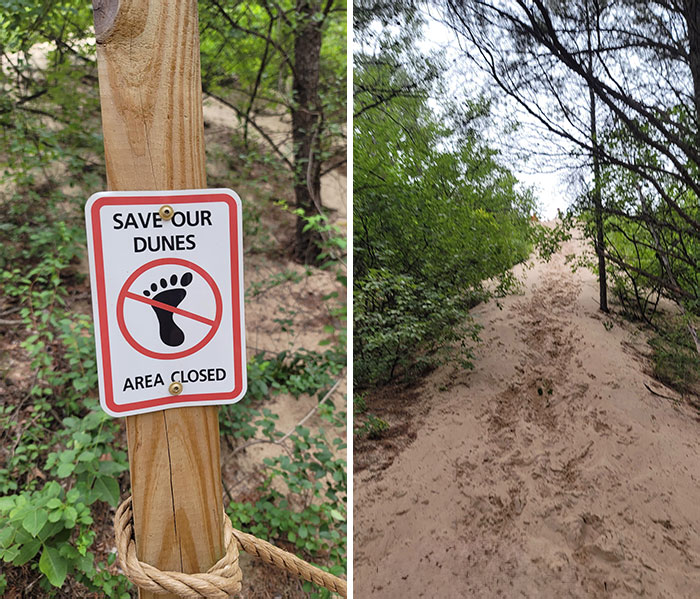 People On Top Of The Sand Dunes When There Are Multiple Signs Saying Not To Climb On Them. These People Are Pointlessly Destroying Nature