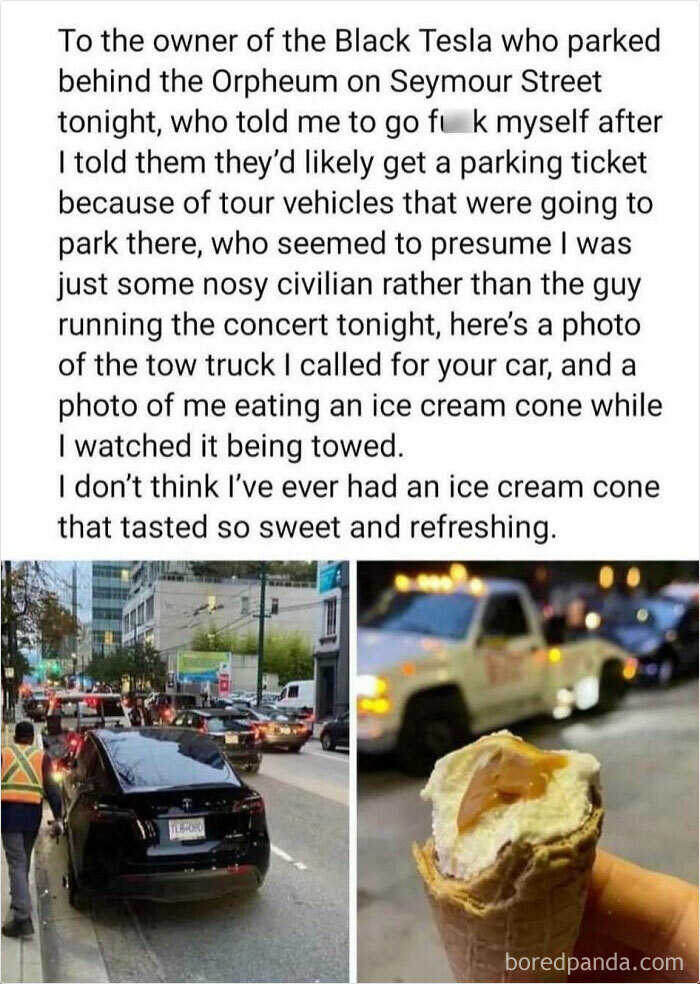 Tesla Owner Thought They Were The Main Character…they Were Wrong