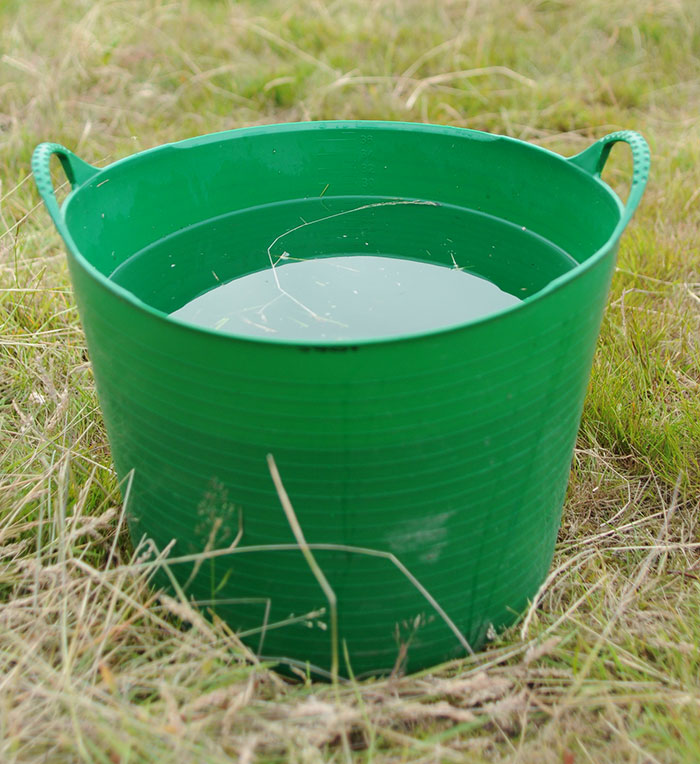 30 ‘European Things’ That Might Just Make Americans Go “Huh?” As Seen In This Online Thread - 33