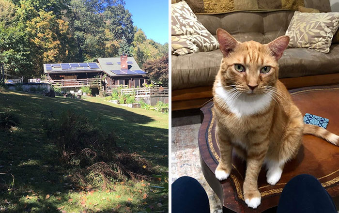 People Online Are In Love With This Adorable Cat Who Takes Its Owner&rsquo;s Guests For Guided Hikes