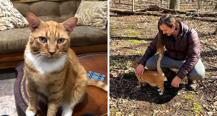 People Online Are In Love With This Adorable Cat Who Takes Its Owner’s Guests For Guided Hikes
