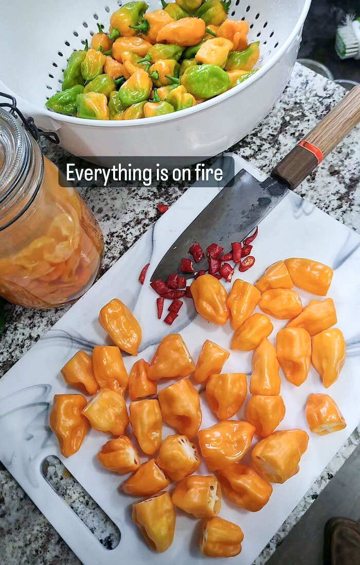 I Forgot To Wear Gloves