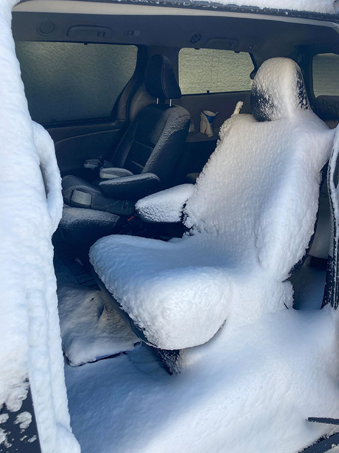 My Coworker's Kids Left The Van Door Open Before A Storm
