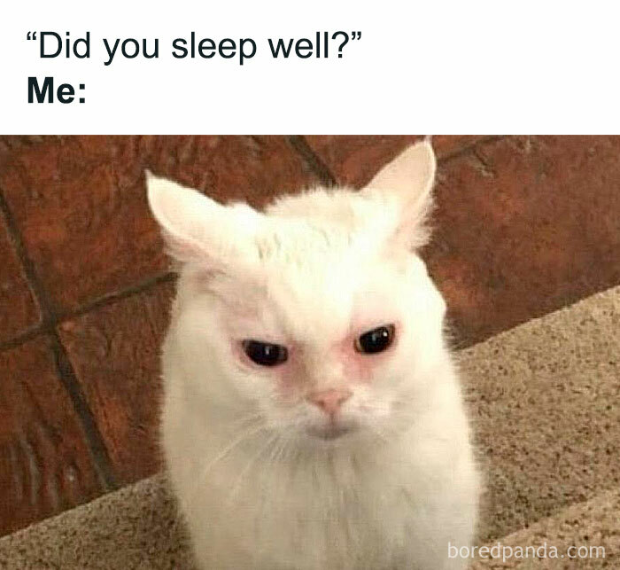 Freud-Intensifies-Funny-Memes