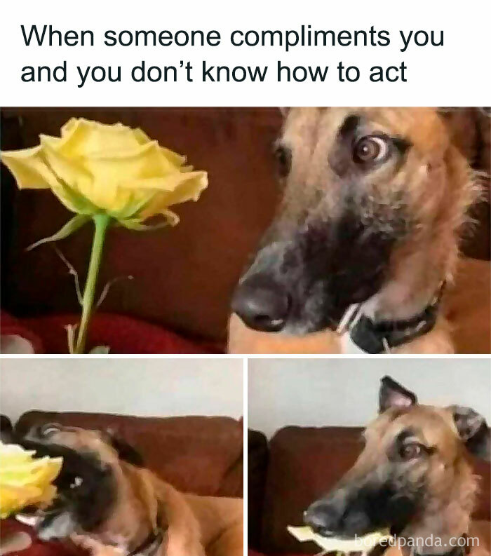 Freud-Intensifies-Funny-Memes