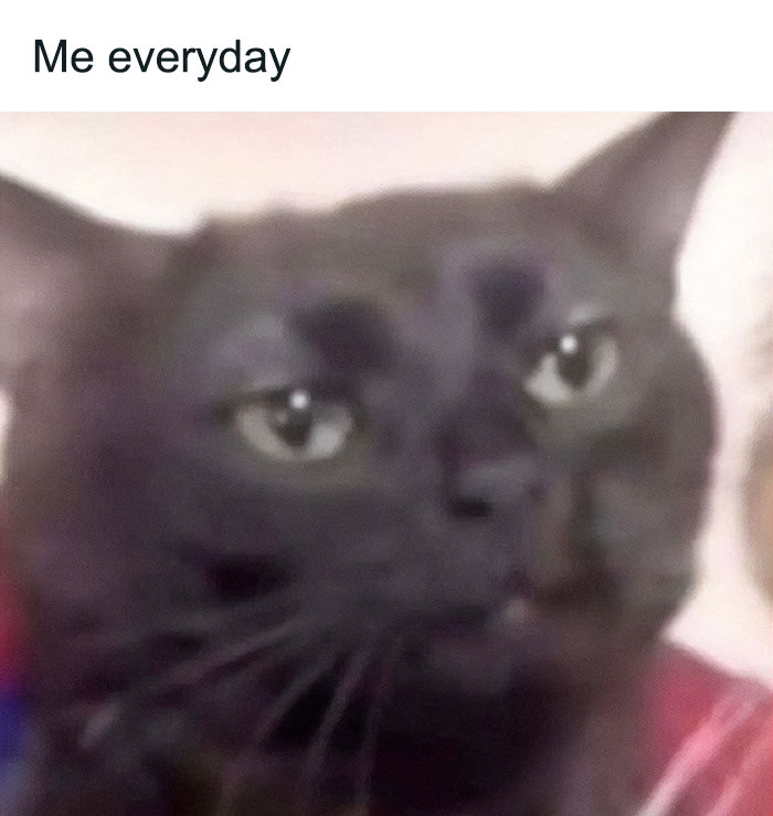 Freud-Intensifies-Funny-Memes