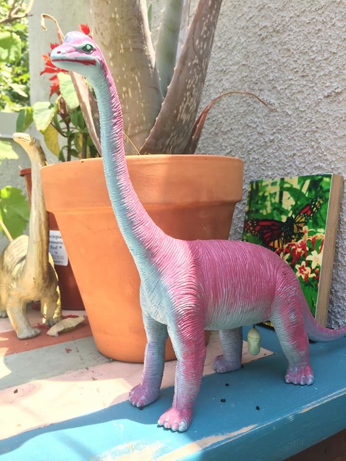 Interesting Place To Coccoon