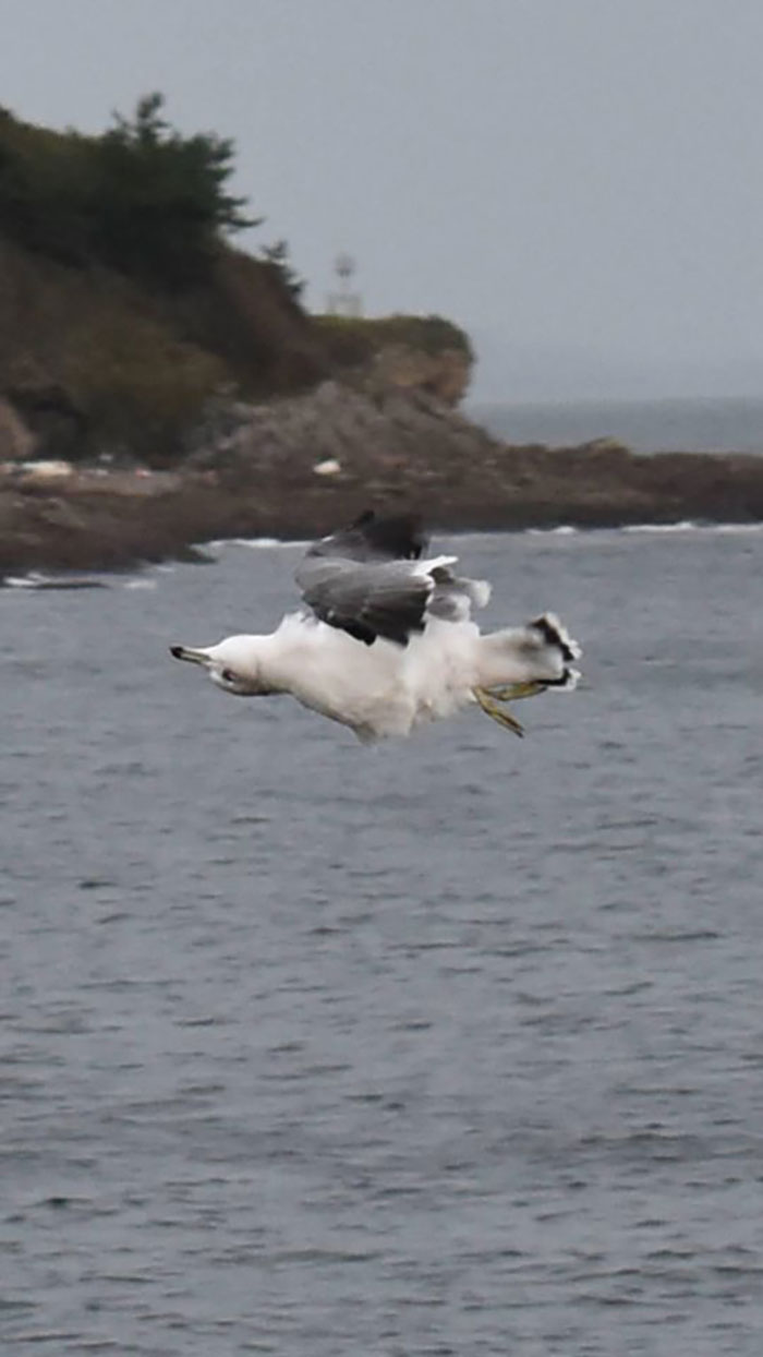 "I Have No Idea What I'm Doing"