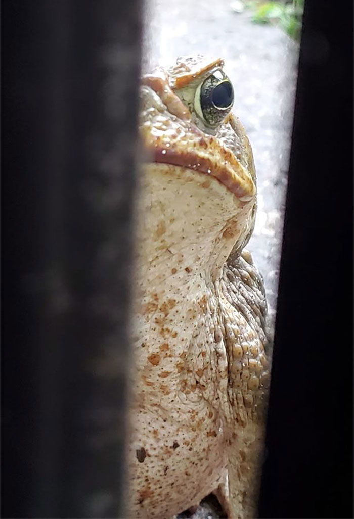 Long Story Short... I Was Trying To Photograph A Blue Jay