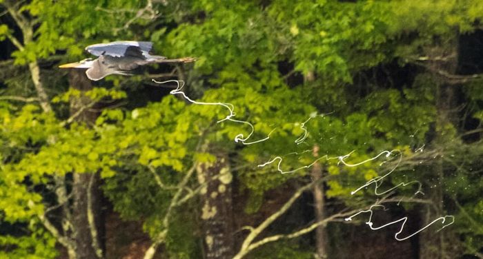 Couldn’t Think Of A Better Place To Post This