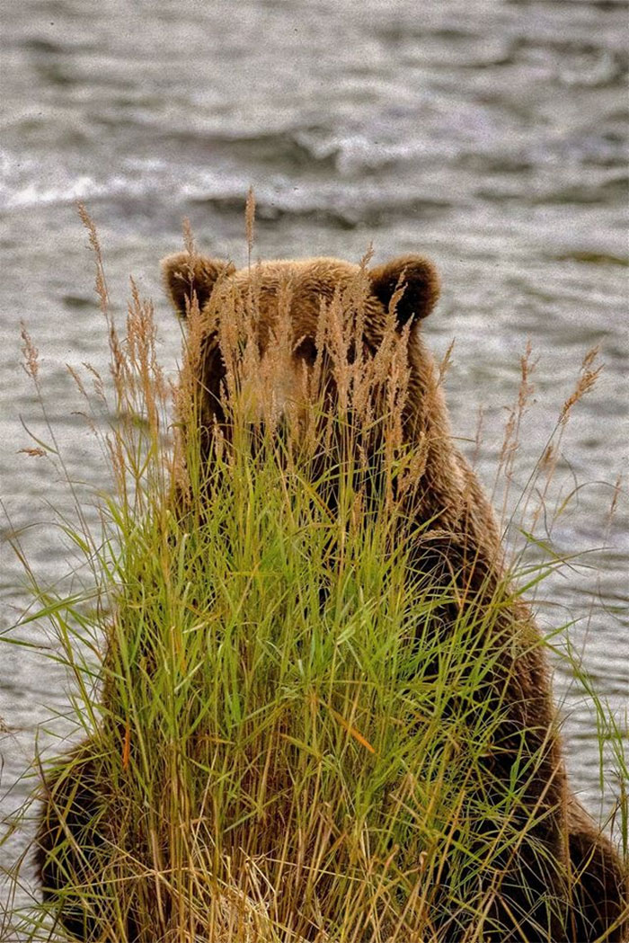 I Had This Strange Feeling I Was Being Watched