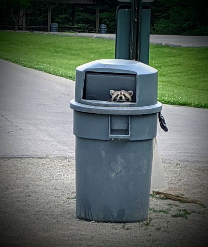 I'm New To This Group, Does This Count?