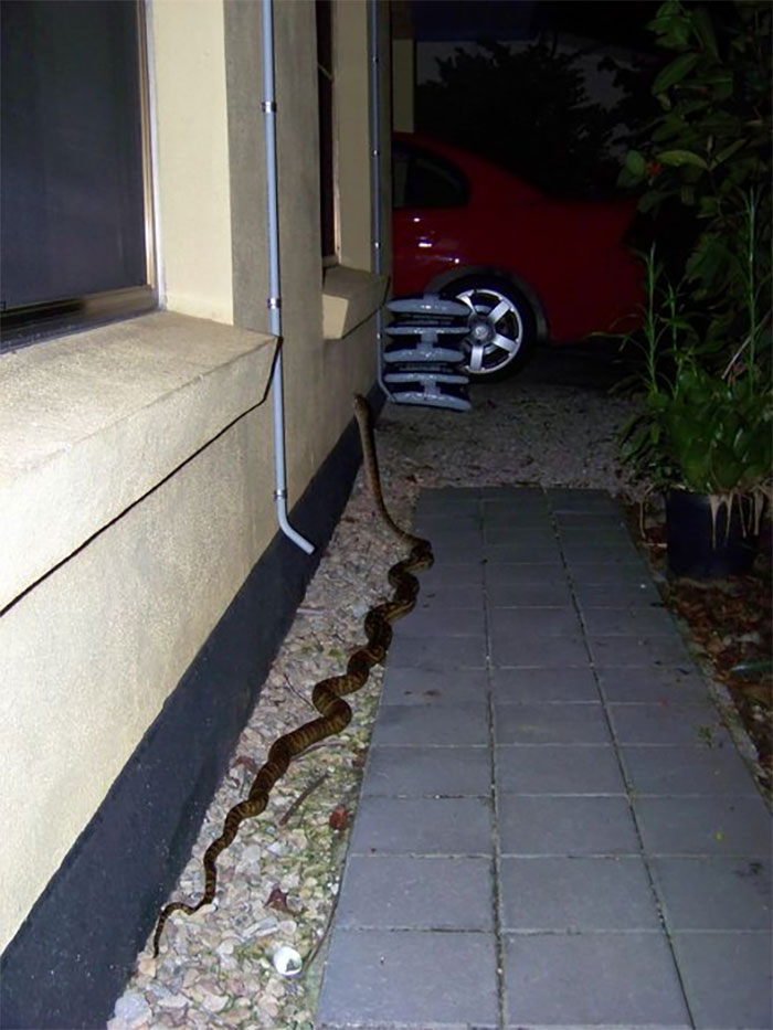 No Outside Light On When I Got Home, Cursed Husband For Leaving Pipe I Tripped Over On Path To The Front Door. Once Inside, Husband Vehemently Denied Any Pipe Misdemeanor, So I Turned On Outside Light To Prove Him Wrong