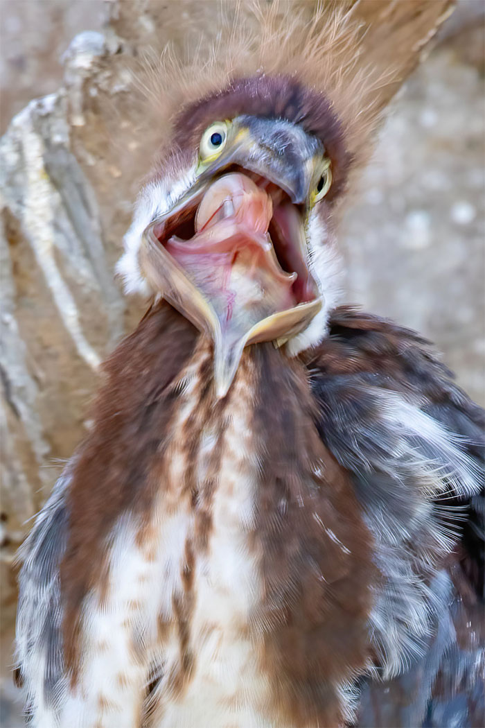 Me When The Tequila Hits